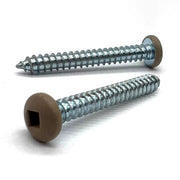 #8x1/2" Pan Head Square Drive Type AB Sheet Metal Screw Tan Painted Head Zinc